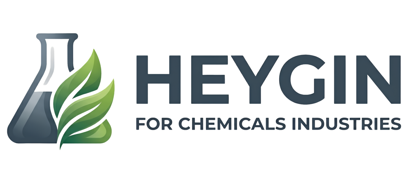 HeyGin Logo